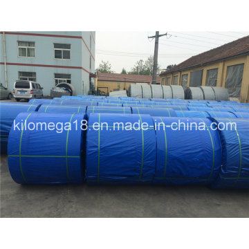 100m Length One Roll Ep Conveyor Belt for Exporting